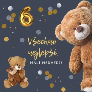 MEDVĚDI DNES SLAVÍ 6 LET!🥳 Je to úplně neuvěřitelný❗ Letí to, letí, máme další rok za sebou a Medvědi jsou stále tady a...
